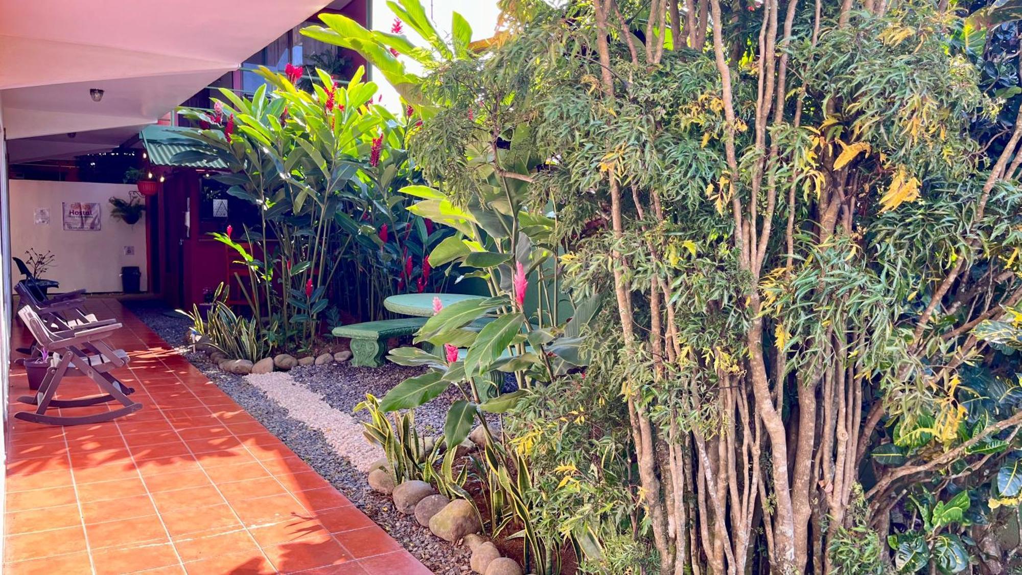 Hostal Nuevo Arenal Downtown, Private Rooms With Bathroom Zewnętrze zdjęcie